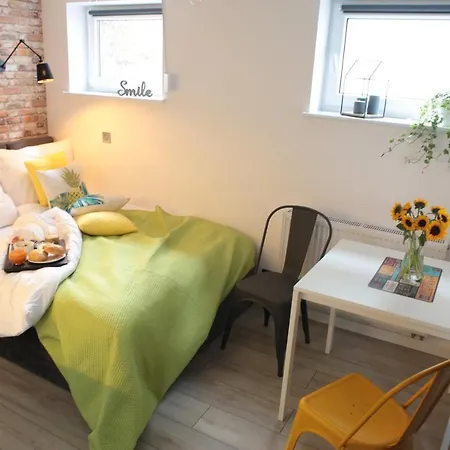 Brookwood Mini Studio Airport Lawica Posen