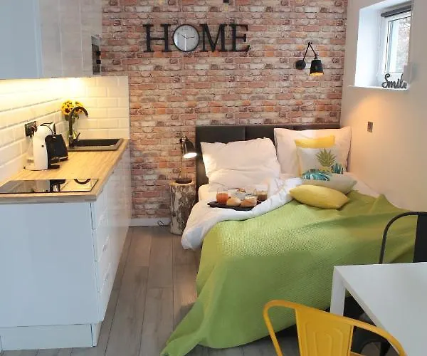 Brookwood Mini Studio Airport Lawica * Posen