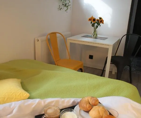 Brookwood Mini Studio Airport Lawica 公寓