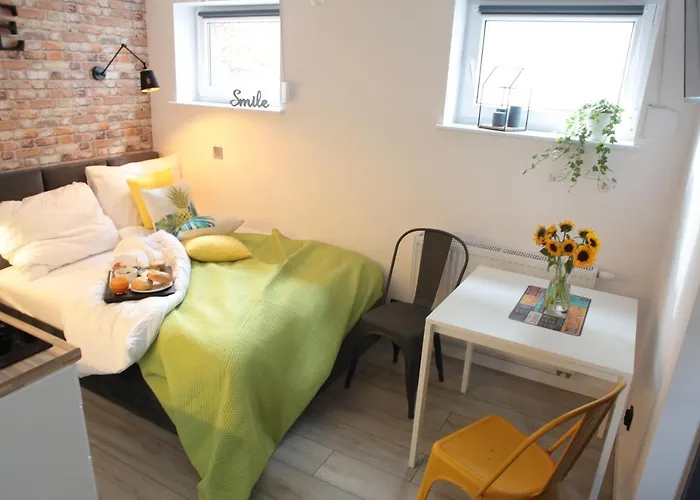 Brookwood Mini Studio Airport Lawica 波兹南